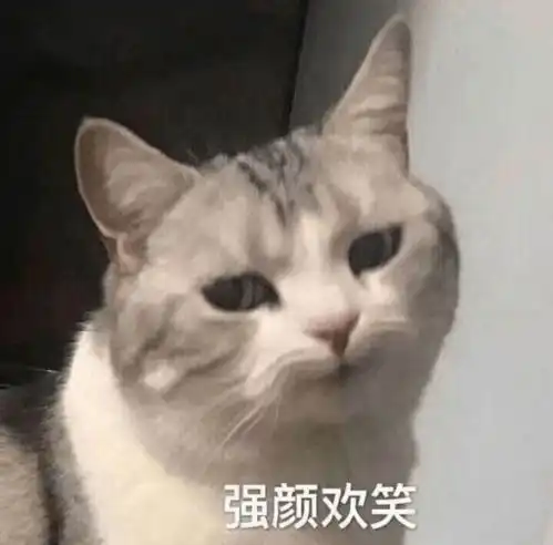 雪已到江苏,南通今晚起