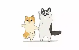 一组图片,让你瞬间明白养柴犬与哈士奇的差别,网红狗都不好养呀