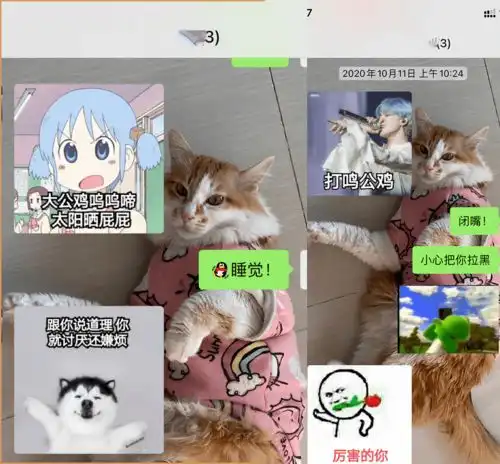 李焕英们发来的表情包,够你笑一年