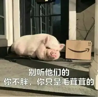 盘点2017年度网络热词都在这了看看你用过几个
