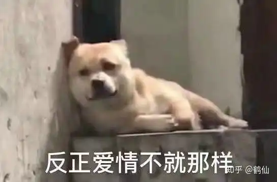 男友把他的自拍作为他的朋友圈封面是什么意思那种黑白耍帅的那种