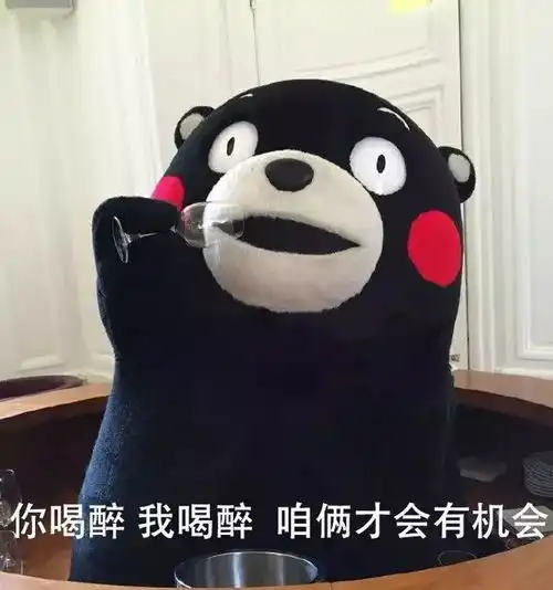熊本熊表情包你单身,我单身,不如咱俩去结婚