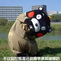 熊本熊系列微信聊天表情包9个女生单身的理由