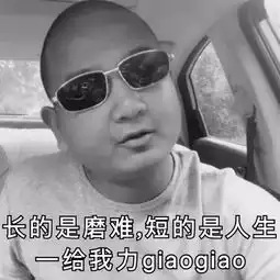 表情我背后有giao哥撑腰