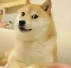 我的表情包去世了