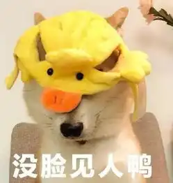 表情包之贱贱的柴犬