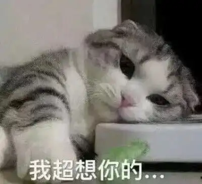 苔藓苔藓图片堆糖,美图壁纸兴趣社区