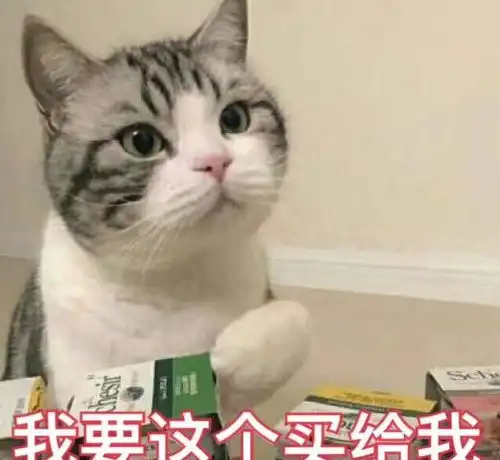 家里有猫,这些东西应该藏起来,因为后果我不知道咋形容