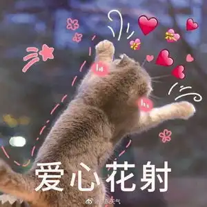 阿冷已到货,明天天气还是比较清凉的,亲们注意添衣,可别短袖出