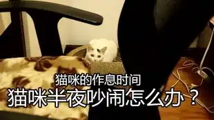 猫咪的暖心瞬间和老大豪放的坐姿