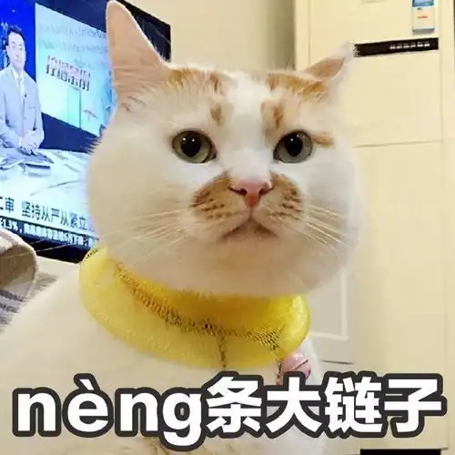 楼楼再见