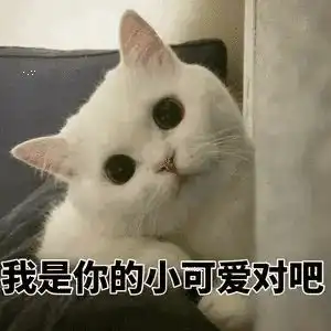 为养猫10岁女孩做ppt说服父母,网友快让她养