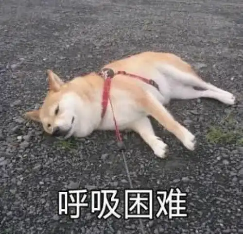 每天不吃饭,体重还上升那是因为你没注意这几点