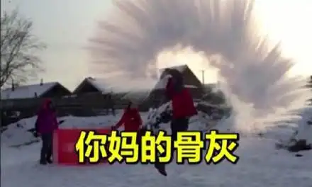 抖音把你骨灰给你扬了表情包下载