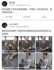 花式吃竹鼠的华农兄弟火了他们就是赣州人简直笑到泪奔