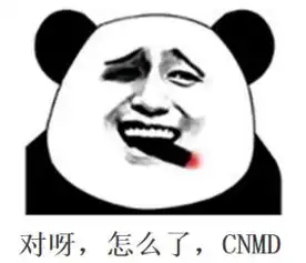 求一张斗图熊猫表情