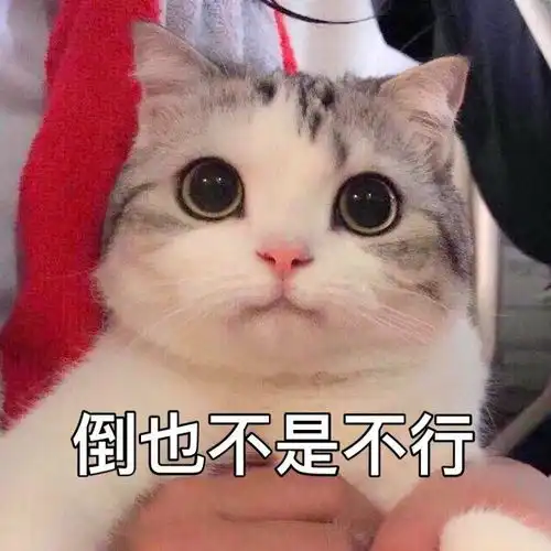 你平常聊天会用哪些求人的表情包