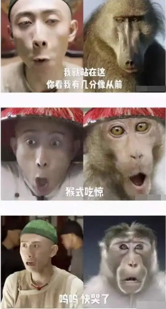 杨超越靠它上央视新闻,洪世贤借它翻红,明星表情包的黑黑红红