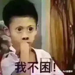 喵猫咪知道自己做了绝育吗