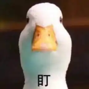 你怎么敢叫自己大house