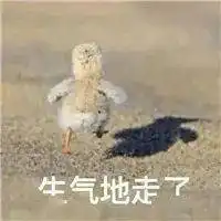 跟你超配的沙雕表情包