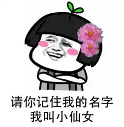 仙女表情包
