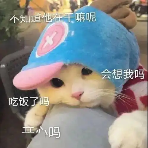 沙雕表情包佳祁一声哦买噶,我欠马云三万八the