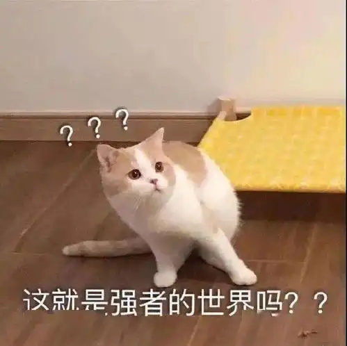 今日占卜不适合上班的星座丨第155期喵表情