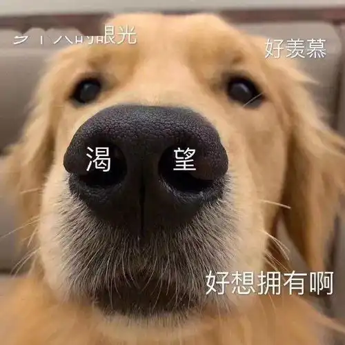 每晚分享欢乐表情包