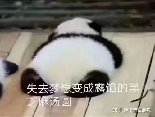 有没有斗图表情包,各位来交流一下华山论剑,请大家各显神通