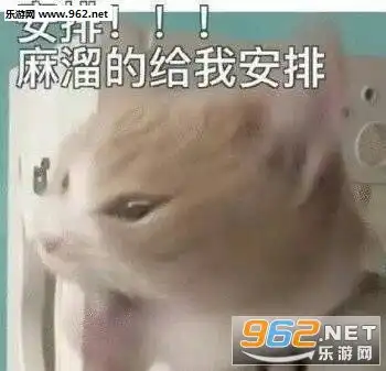 想学习一下时间管理表情包全家族对你很失望杀马特表情包下载乐游网游戏下载
