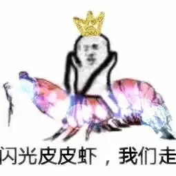 皮皮虾我们走被网友玩坏到底是个什么梗