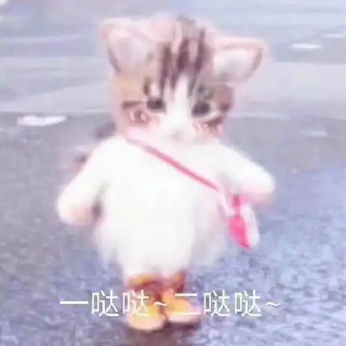 超可爱表情包,甜妹注意保存啦