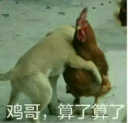 人可以不要脸到什么程度