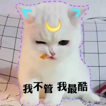 猫咪表情包小哥哥处对象吗