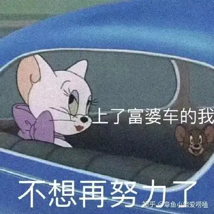 我,申请上罗德岛啦