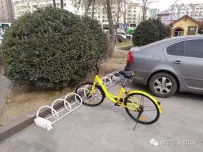 美女主播亲测共享单车,她骑上坡的表情亮了