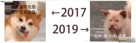 2017和2019搞笑对比图片2017和2019表情包下载乐游网游戏下载