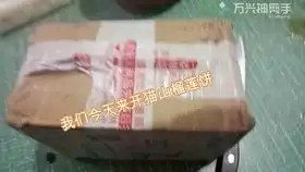 王之降临比利海灵顿哲学摔跤