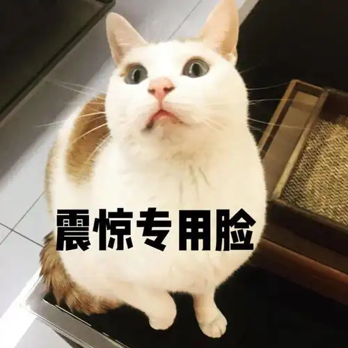 考研真的分大小年21考研小年还能上岸吗