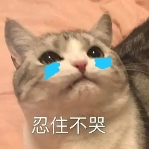 不小心删了重要文件,别慌这样做就能恢复