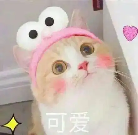 女生节你的心愿,小su实现