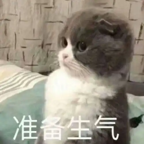 表情包19丨你当我小青蛙不会发怒
