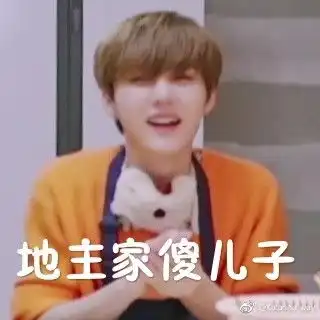 大厂男孩表情包八