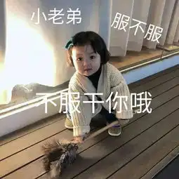聊天斗图表情包百因必有果,漂亮妹妹属于我