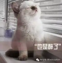 2014流行语英语版向老外朋友介绍这些流行语