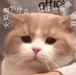 我真是太喜欢收集小猫咪表情包了