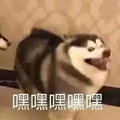 沙雕狗狗在线营业