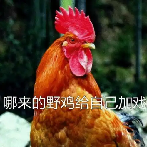 禁食鸡肉的韩国人我们吃炸鸡违法,必须出国