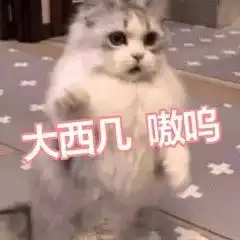 斗图小表情4.12